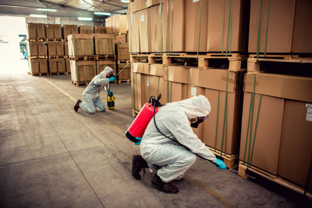 Best Best Pest Control Companies  in Riverdale, IL