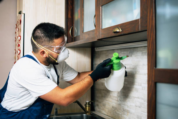 Best Flea Control Services  in Riverdale, IL