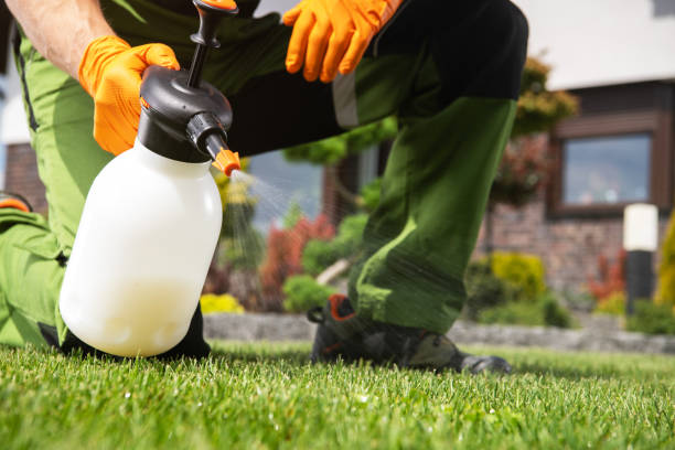 Best Wasp Removal Services  in Riverdale, IL