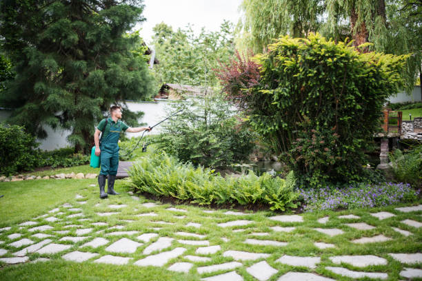 Professional Pest Control in Riverdale, IL