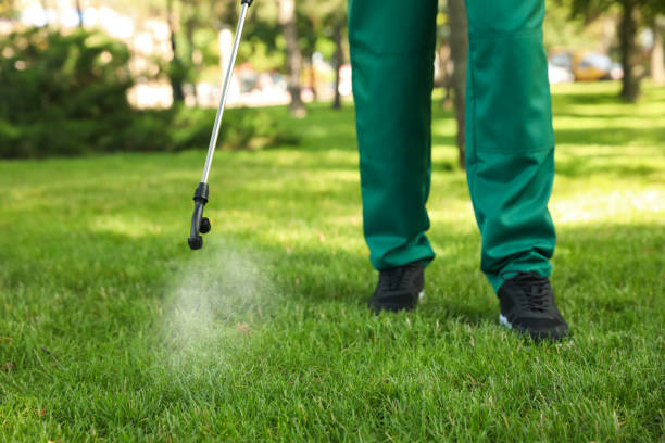 Best Pest Control Near Me  in Riverdale, IL