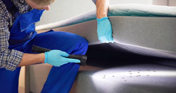 Best Affordable Exterminators  in Riverdale, IL