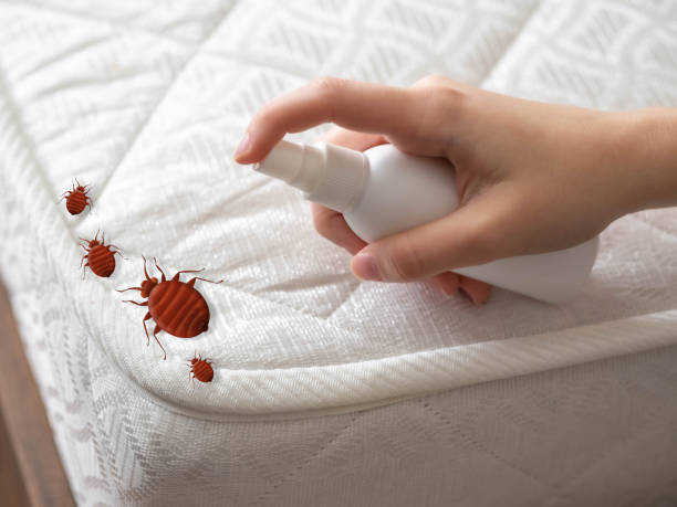 Best Residential Pest Control  in Riverdale, IL