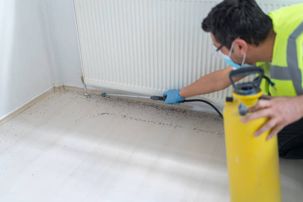 Flea Control Services in Riverdale, IL