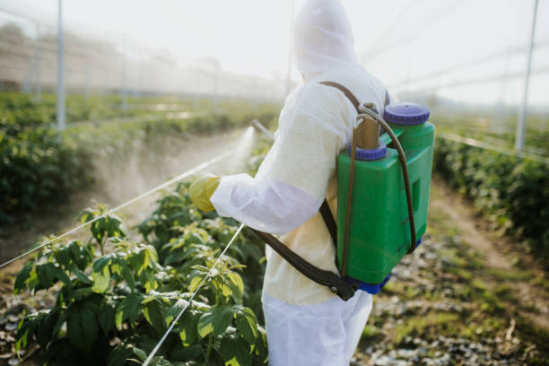 Best Affordable Pest Control Services  in Riverdale, IL